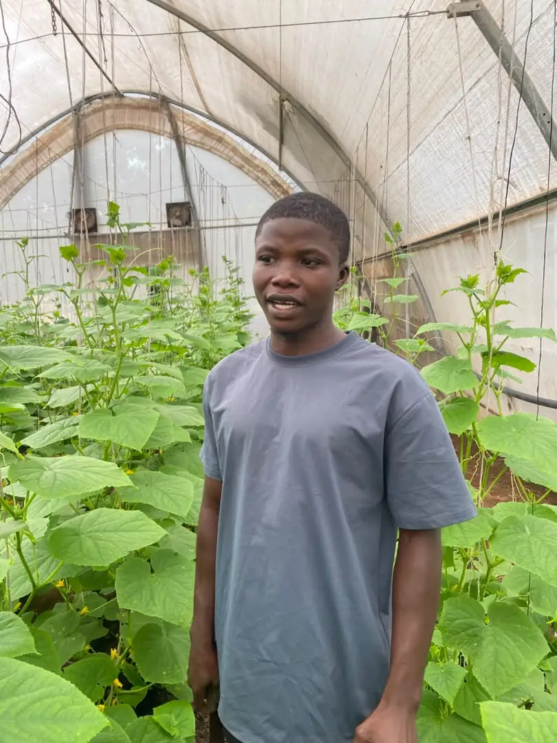Mohammed lbrahim